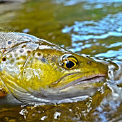 Fly Fishing in Slovakia