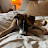 @Rose6767-x7o