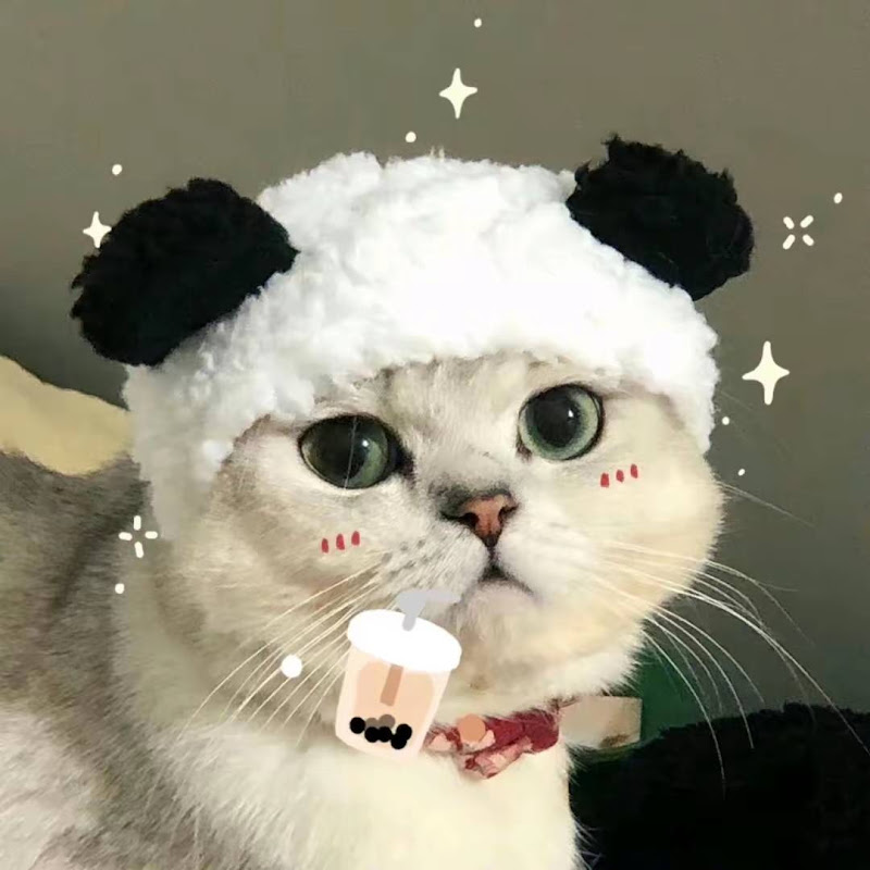 遊遊切克鬧