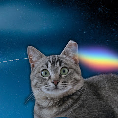 トーマの夢日記