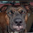 @mikek7625 Avatar