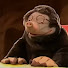8m1kP9QHuZ0-channel-avatar-moffel