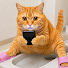 OrG1eNBVqIc-channel-avatar-Dreep Cat paw