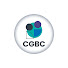 vlFecITWoAI-channel-avatar-CG Business Consulting