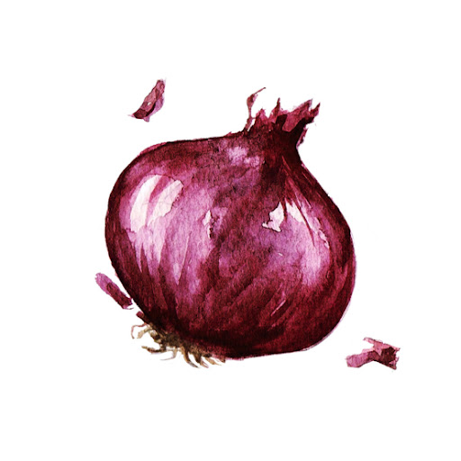 the forsaken onion