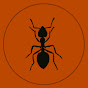 ANT FAMILY logo