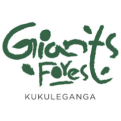 Giants Forest - Kukuleganga