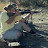 @dillenmoore3235's avatar