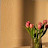 @RandaAbdallah-yj1em