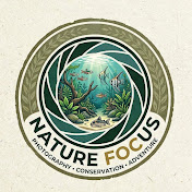 Nature Focus