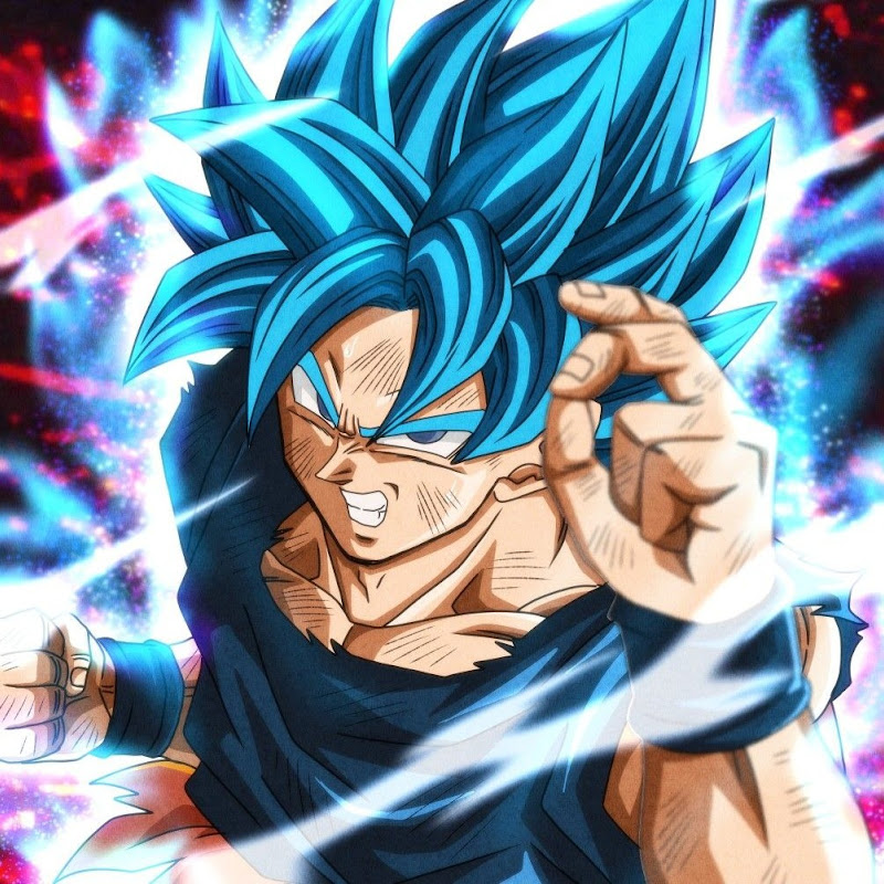 Goku VIP Saiyan
