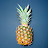 @pinezapple8374