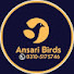 LmbuedHmTWk-channel-avatar-Ansari Birds