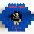 Shoot Your Bricks