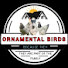 YMHnshJMFNI-channel-avatar-Ornamental Birds & Business