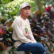 Potret Jalanan
