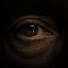 9LDZVyKERIo-channel-avatar-UmbraGlubina