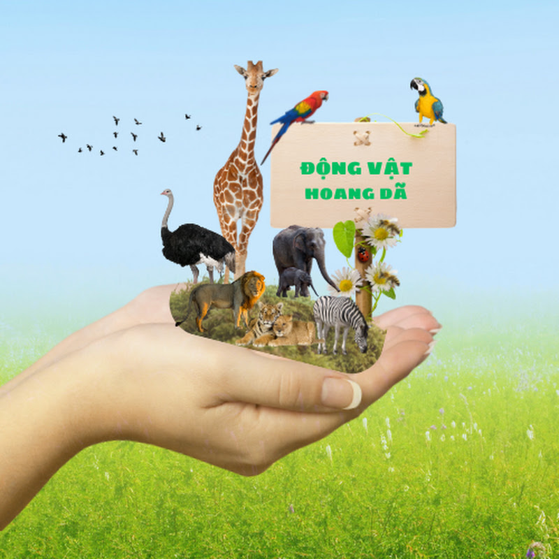  Động Vật Hoang Dã
