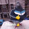Автор