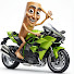 5G-ulQnlZVY-channel-avatar-HAI CARTOON