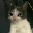 @Cryin_Cat