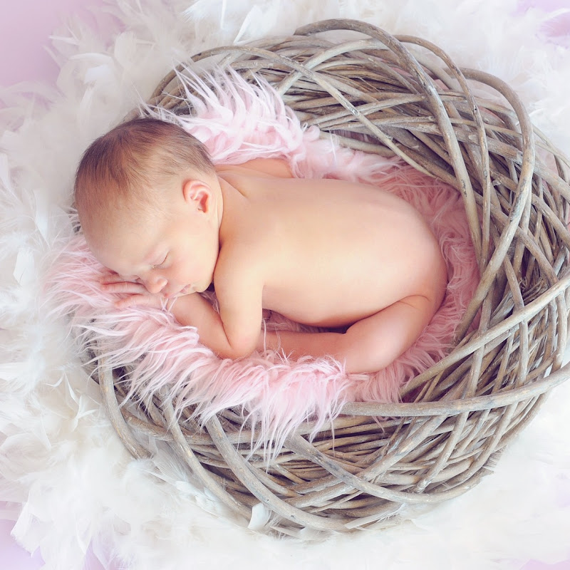 Baby Hub2793