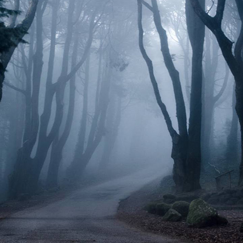 ART VISION TV / C&B JOURNAL