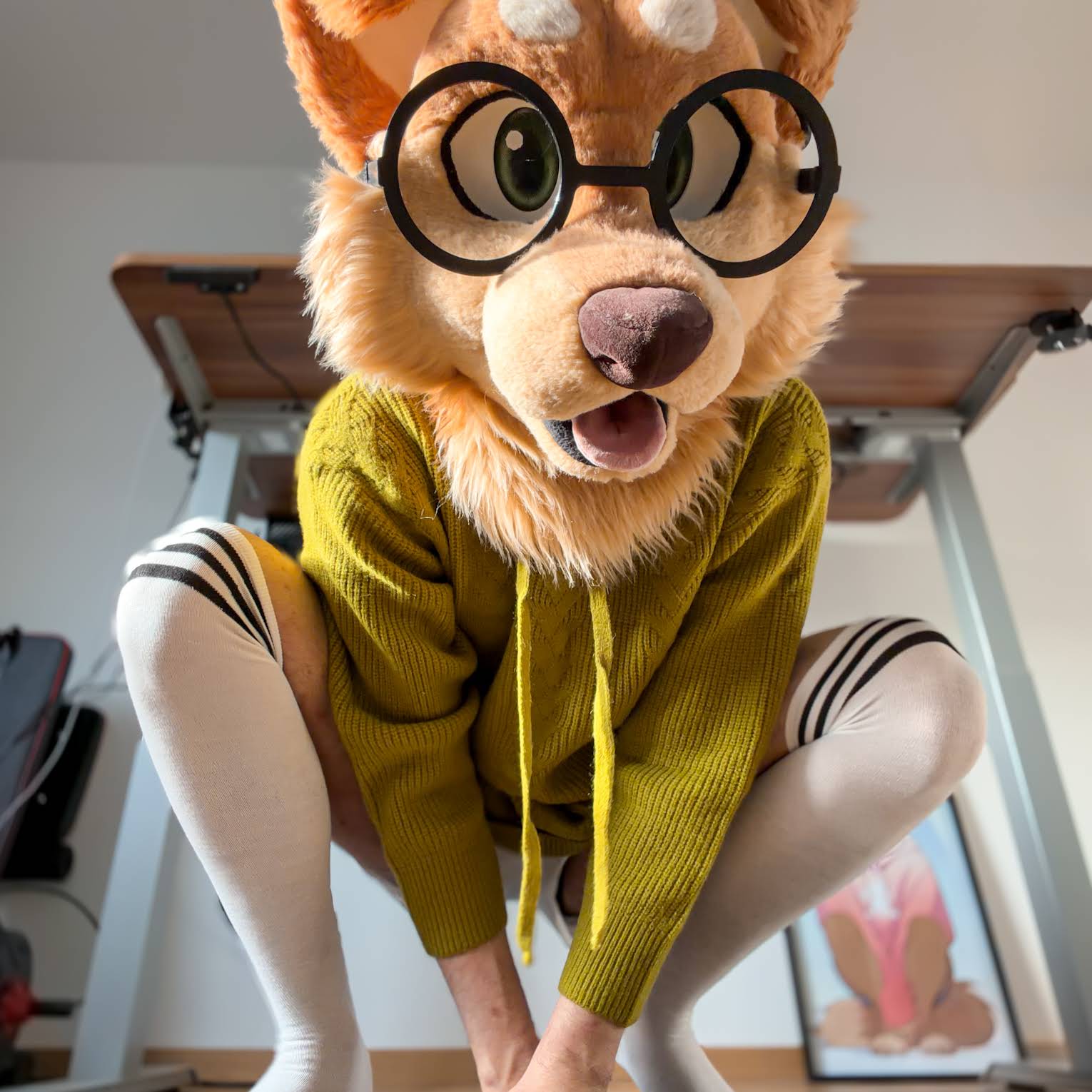 Post from Max Fluffy