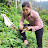 Lý Lưu Linh