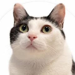 ウルンとリコリンファミリー