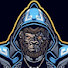 vpygo9SIBy4-channel-avatar-zirHaze Gaming