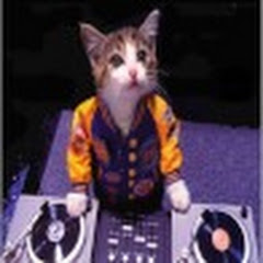 Dance Music Forever