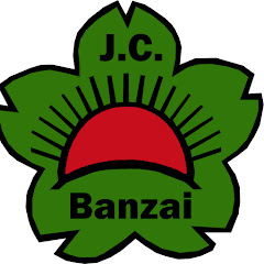 Banzai Gelsenkirchen