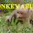 Monkey Abuse