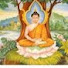 hPp-E3a_zw4-channel-avatar-Sacred India Teachings
