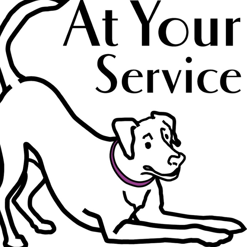 At Your Service Dog Training