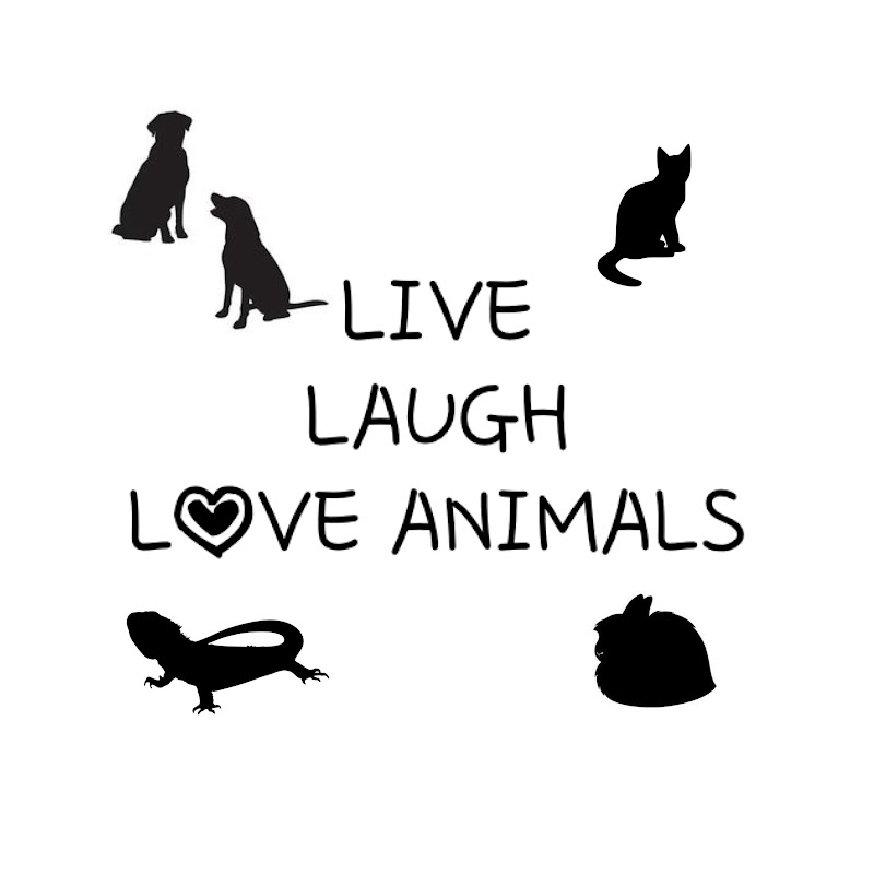 Faith and Furry friends