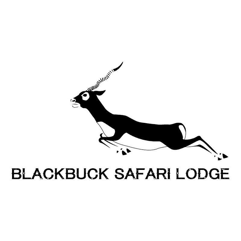 blackbuck safari lodge