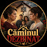 CI5fsyNLvUo-channel-avatar-Căminul Dezbinat