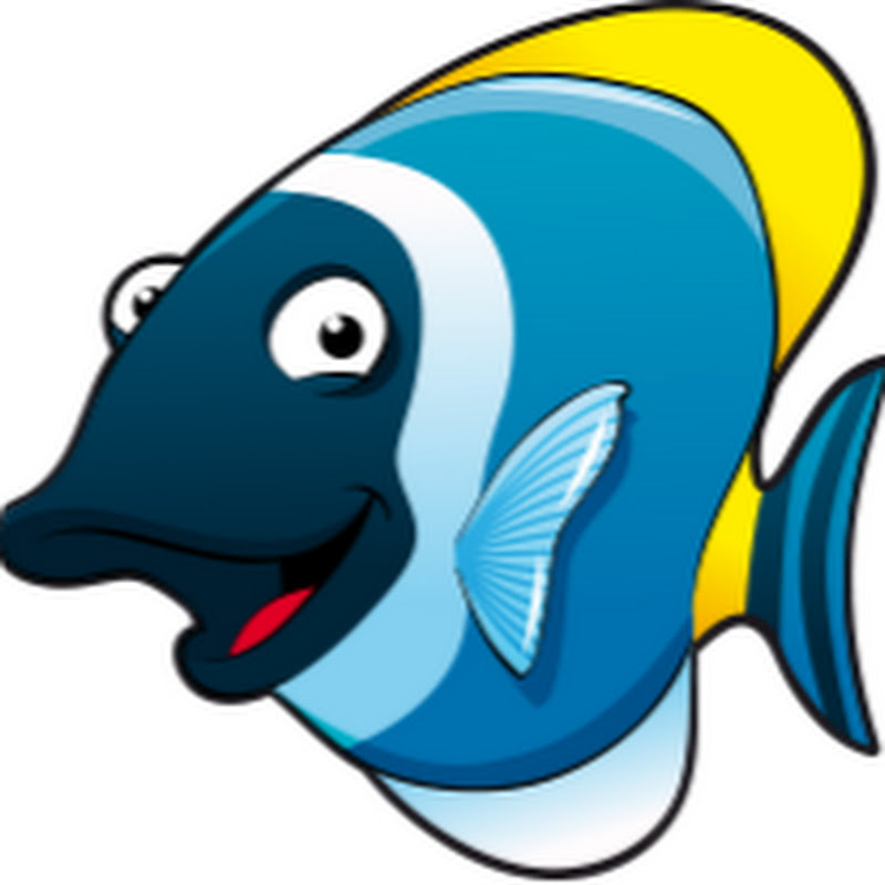 JoyStream Entertainment