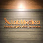 Lab Medica Systems Pvt Ltd  logo