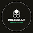 flSSmoanWpk-channel-avatar-Molecular