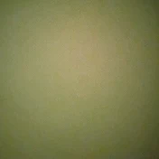 ︎ ︎ ︎ ︎ ︎ ︎ ︎ ︎か