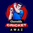 Rcv6rCFSkqU-channel-avatar-Charsadda Cricket Awaz