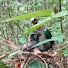 GJBZnbdUk_c-channel-avatar-Burung Hutan