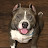 @mccranahan747's avatar