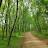 @user-zn1ci6kr4i