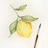 bUk8nOW8_Ao-channel-avatar-My Watercolor