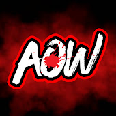 Age Of Wrestling 