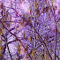 s08lUoJzQso-channel-avatar-Sol Vibrations